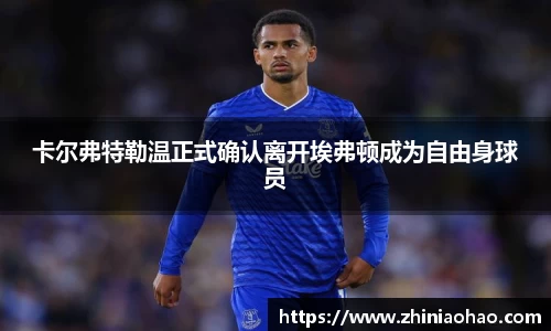 三亿体育有限公司