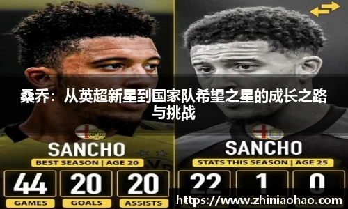 三亿体育有限公司